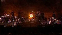 I'm Still Standing 官方版