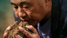 耿为华《最美是故乡》官方版