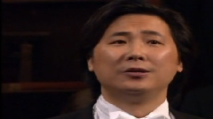 绿树成荫