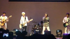 像鸟一样 STOP
