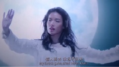 一生所爱