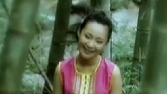 龚玥 - 月光下的凤尾竹
