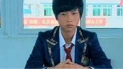 叶烁绿化版