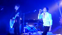 Suede - Pantomime Horse