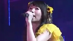 迷宫蝴蝶
