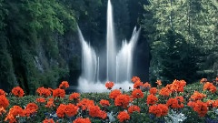 Relaxation Meditation