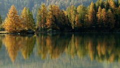 My Immortal § Le Lac