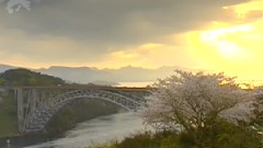 情感