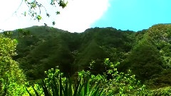 十三春