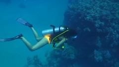 Sexy Scuba Girl