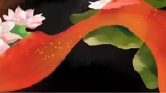 锦鲤抄