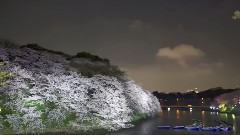 情感