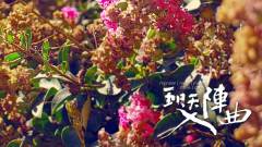 五月天 - 入阵曲