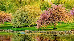 Love Spring