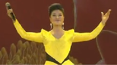 花开中国