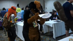 Furry Ohio