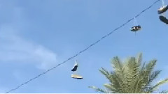 Range Of Motion