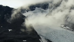 Wild Scandinavia