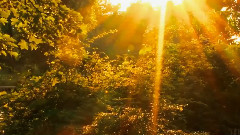 Yiruma - If I Could See You Again