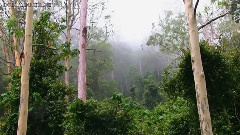 Australia-Wildernss Beauty