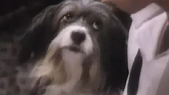 念故乡