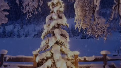 Silent Night