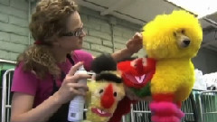 Crazy Canine Grooming