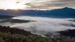 金龙山