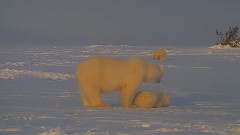 Canadian Arctic Archipelago
