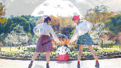 Drop Pop Candy