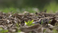 Highest Resolution - Check Original 4K Demo