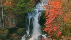 Ryuzu Fall Nikko
