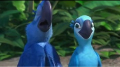 Rio