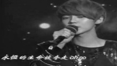 EXO鹿晗出道两百天