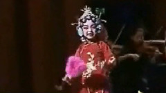 孔莹 - 花打朝