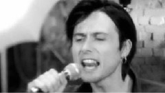 Suede - Beautiful Ones