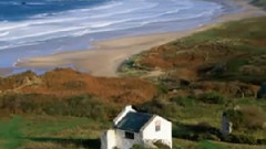 The South Wind