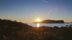 Ibiza Lights
