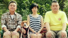 汤米先生的诚实告白