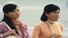 孙淑媚 & 王识贤 - 雪中花