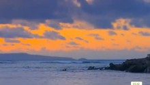 写给海洋