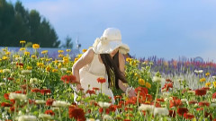 花海心曲