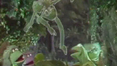 Disco Frog