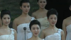 叶子
