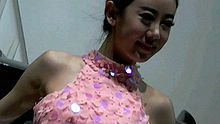2013深圳车展性感车模