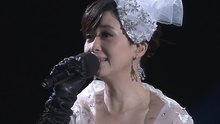 群星 - 深圳卫视2011跨年音乐季演唱会