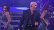 Pitbull - Timber