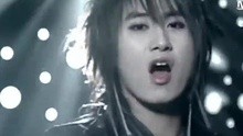 SS501 - Fighter