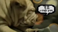 2NE1TV S01 EP07