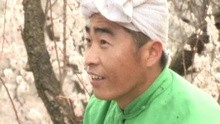 叶振国 - 小妹妹就爱庄家汉